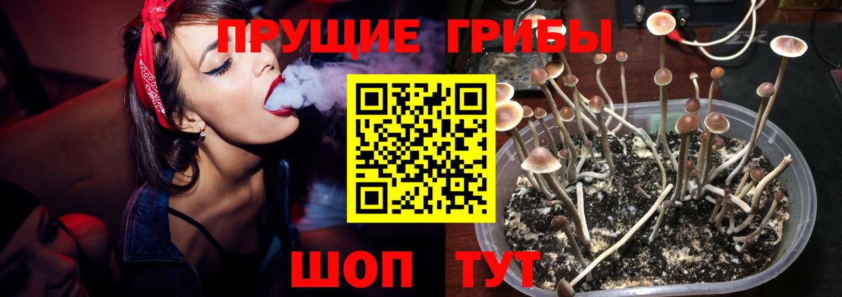 Галлюциногенные грибы мухоморы Чусовой